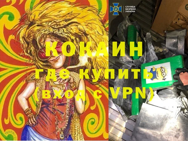 молекула духа Алексин