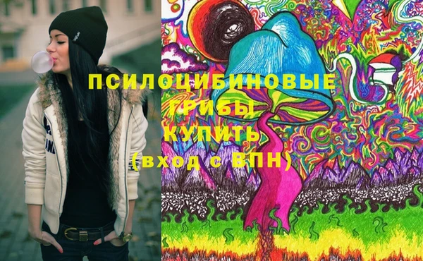 молекула духа Алексин